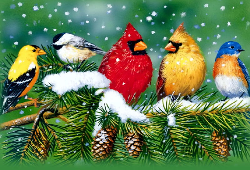 Gathertop, songbirds, birds, artwork, cardinals, chickadee, snow, painting, twig, pinecones, HD wallpaper