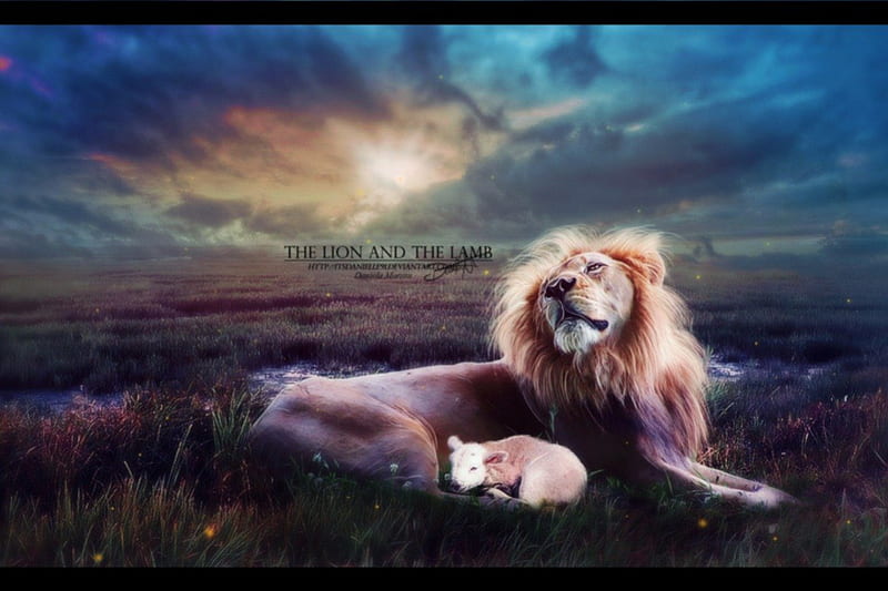 The lion and theLamb, lamb, fantasy, lion, animal, HD wallpaper
