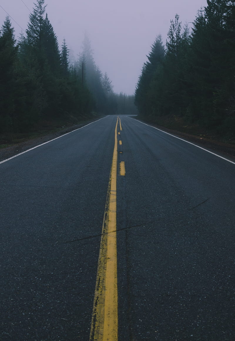 Foggy Road, Milli, Pnw, Samsung, Sony, love, andorra, anime, art, bonito, black, canon, fog, forest, forrest, fortnite, funny, green, iOS, iPhone, landscape, love, minions, moody, nature, graphy, queen, sad, scary, silent hill, still, vibes, wanderlust, waterfall, weird, woods, wow, HD phone wallpaper