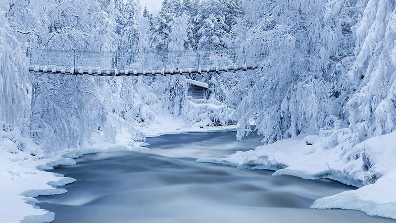 Bridge Above Water Between Snow Covered Forest Nature, HD wallpaper