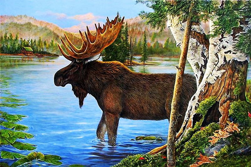 Big Moose, tree, water, painting, lake, artwork, HD wallpaper | Peakpx