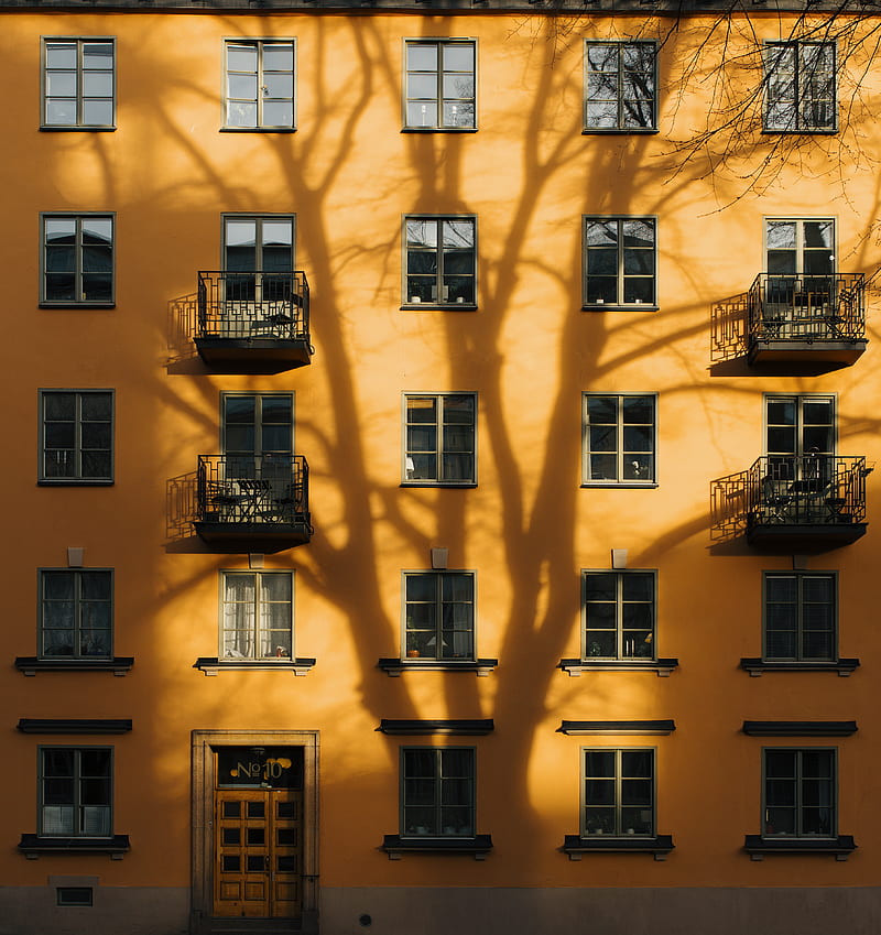 orange concrete building with tree shadow during daytime, HD phone wallpaper