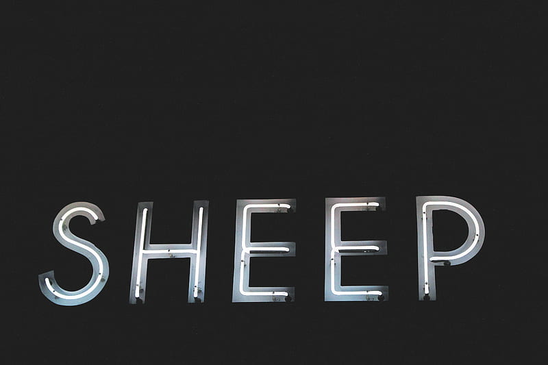 sheep neon light signage, HD wallpaper