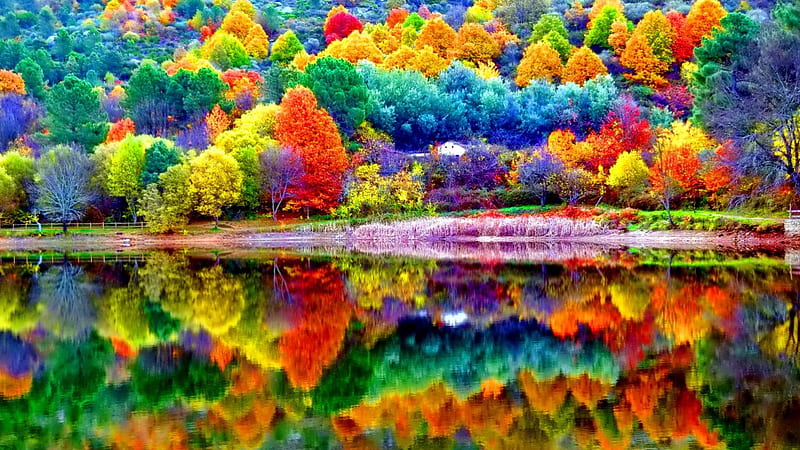 Beautiful autumn scenery, forest, colorful, shore, autumn, bonito, trees, lake, foliage, tranquil, calm, serenity, river, scenery, HD wallpaper