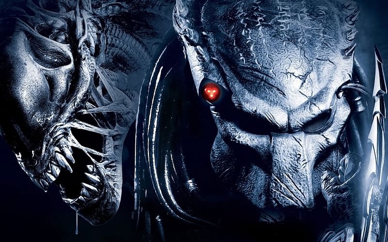 Aliens vs Predator [2560x1440] : r/wallpapers