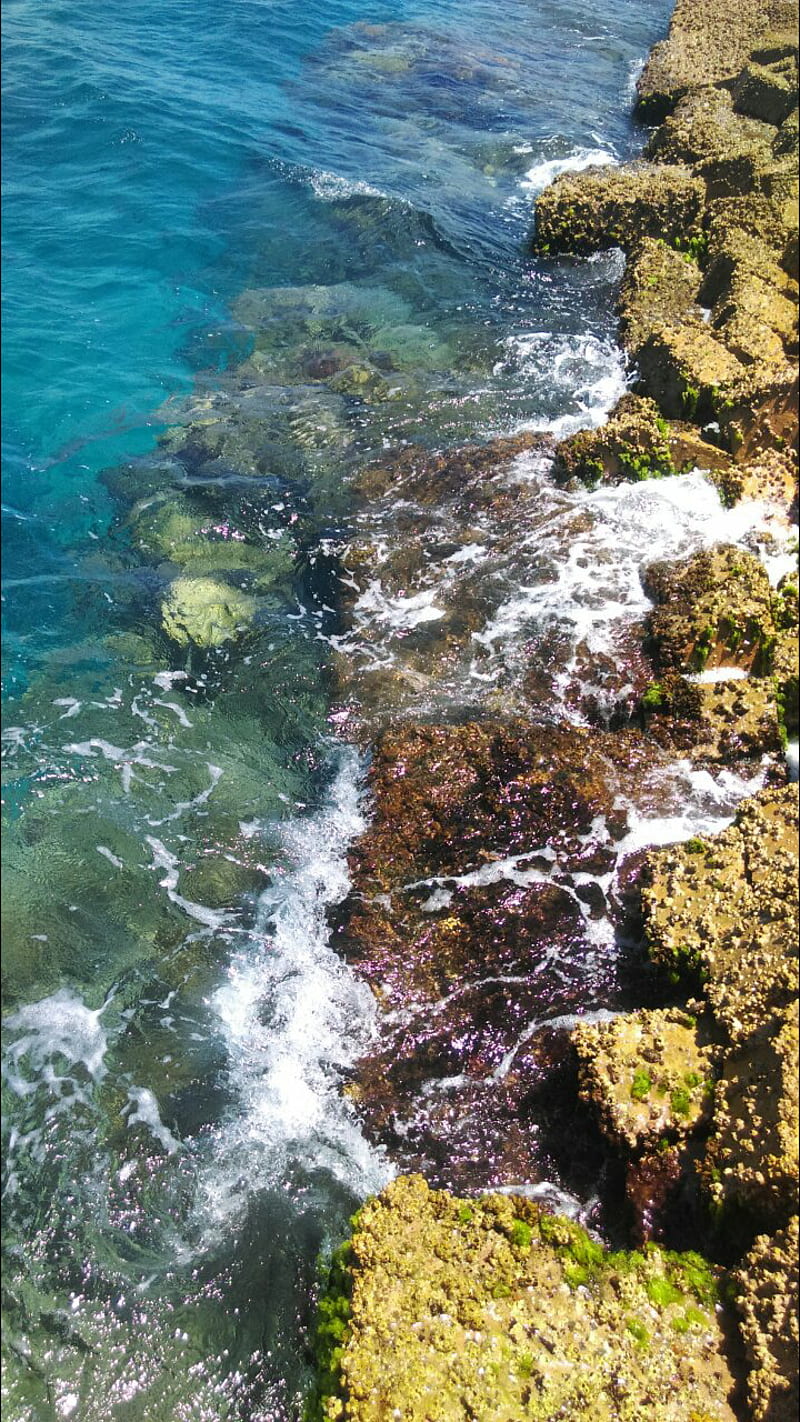 egypt hurghada sea, egypt hurghada, life, rocks nature, stones, water, HD phone wallpaper