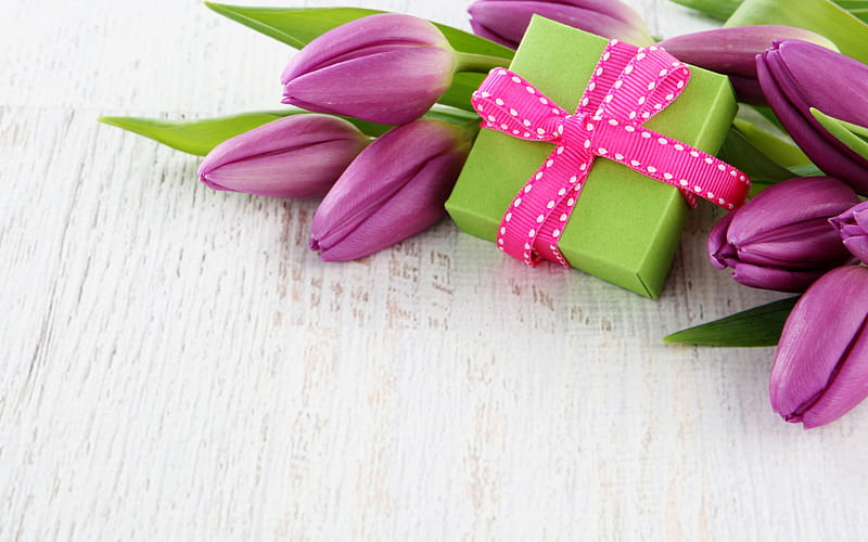 purple tulips, spring flowers, floral background, tulips, green gift, purple silk bow, HD wallpaper