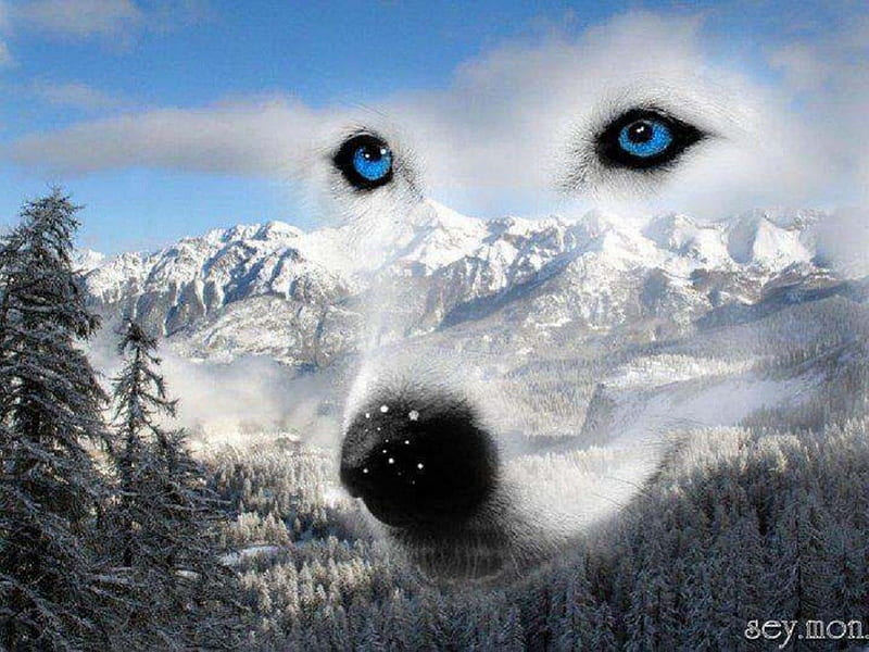 Beautiful Spirit, trees, abstract, spirit, fantasy, snow, mountains, wolf, animals, dogs, HD wallpaper