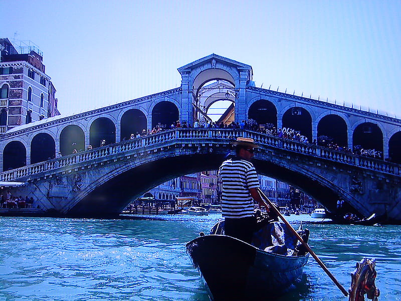 Rialto, summer, venezia, gondola, rialto brigde, HD wallpaper