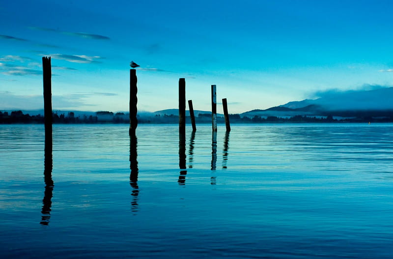 Before Dawn, hills, calm, water, lake, blue, HD wallpaper