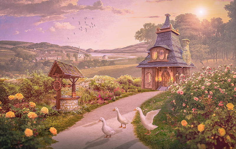 White ducks lodge, annewipf, fantasy, luminos, duck, bird, pasari, pink, HD wallpaper