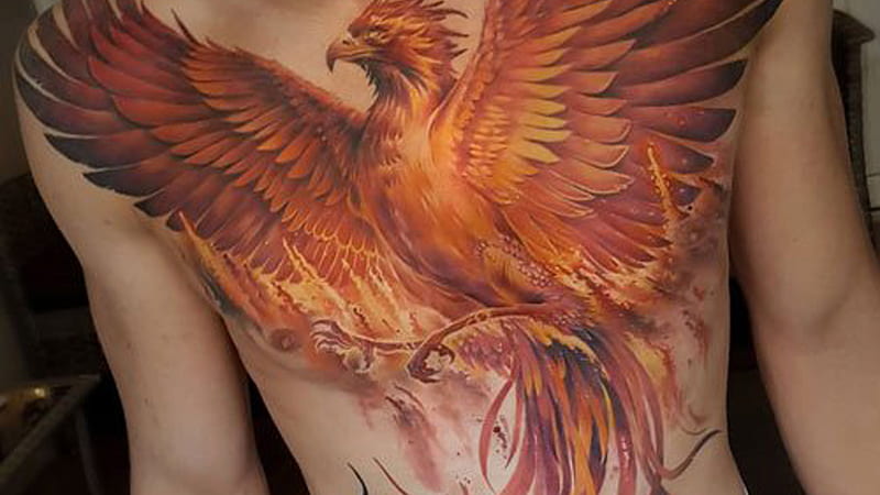 Phoenix Tattoo For Men On Chest Tattoos For Men, HD wallpaper | Peakpx