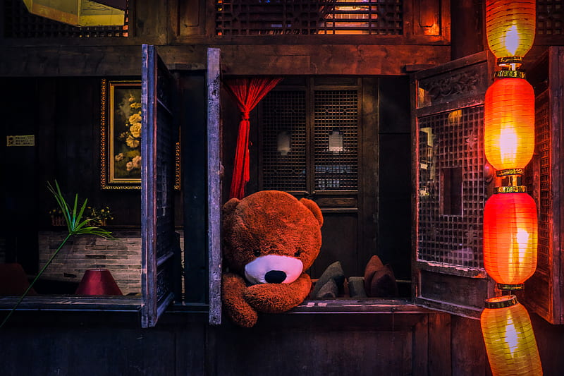 bear plush toy on window, HD wallpaper