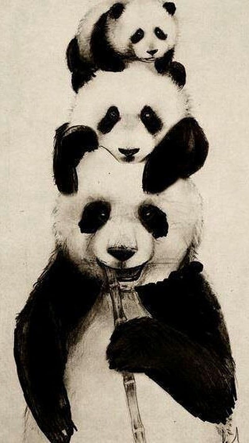 Panda Live, Painting Work, art work, animal, HD phone wallpaper