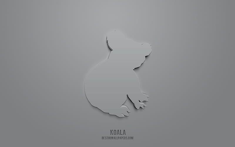 Koala 3d icon, gray background, 3d symbols, Koala, creative 3d art, Animals icons, 3d icons, Koala sign, Animals 3d icons, HD wallpaper