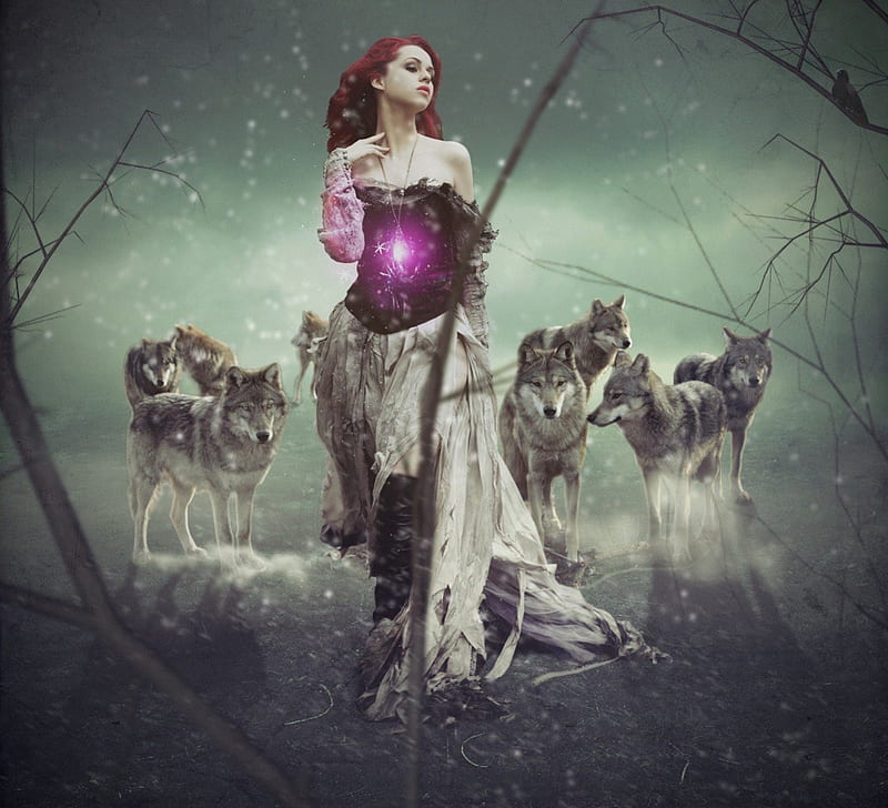 Queen of the Wolves, Queen, Fantasy, Wolves, Animals, HD wallpaper