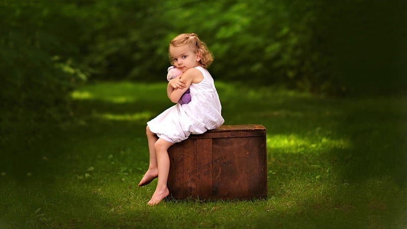 Cute Little Girl With Toy Is Sitting Above Wood Trunk Box On Grass Wearing White Dress In Blur Green Forest Background Cute, HD wallpaper
