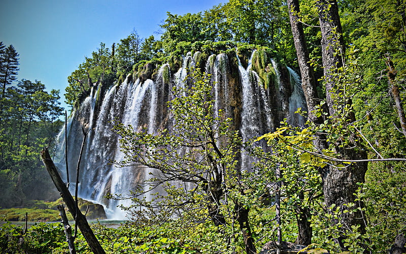 Plitvice Lakes National Park summer, beautiful nature, R, Croatian landmarks, waterfalls, Europe, Croatia, HD wallpaper