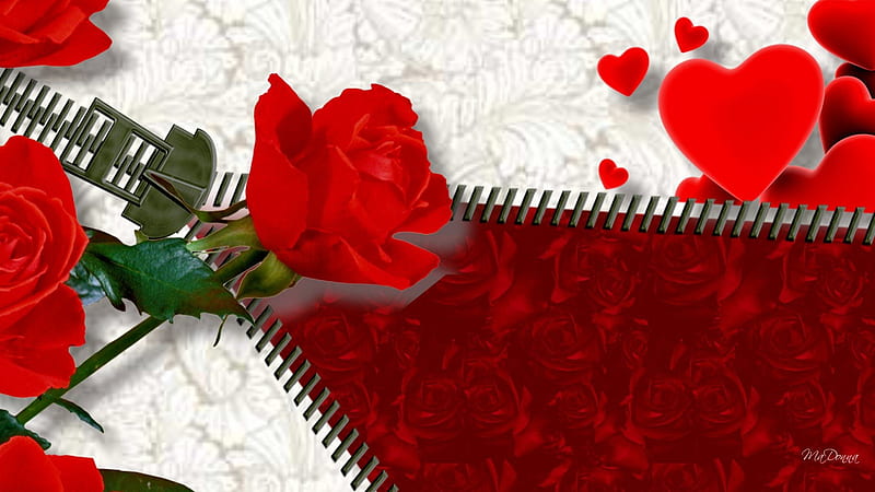 Roses Unzipped, red, flowers, lace, roses, abstract, corazones, Valentines Day, flowers, zipper, HD wallpaper