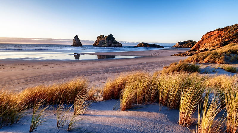 Warariki beach, beach, New Zealand, tufts of grass, ocean, HD wallpaper