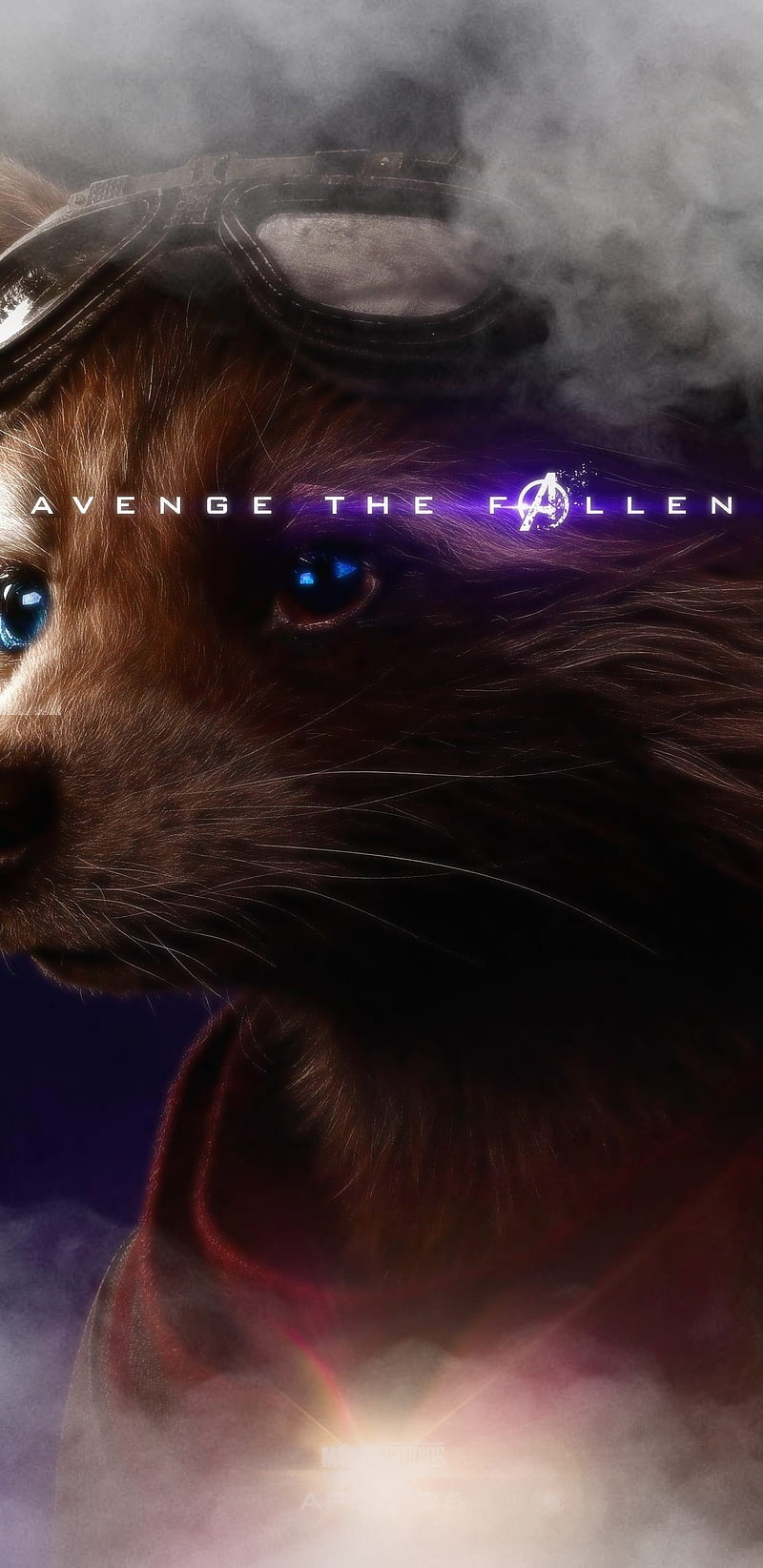 Avengers, entertainment, movies, racoon, rocket, HD phone wallpaper