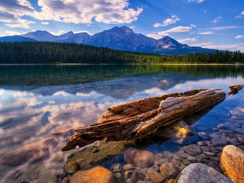 Drifted Wood to Shore, forest, rocks, shore, trees, sky, clouds, lake, mountain, daylight, water, day, nature, reflection, wood, HD wallpaper