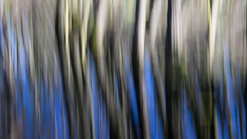 Distortion, stripes, lines, blur, HD wallpaper | Peakpx
