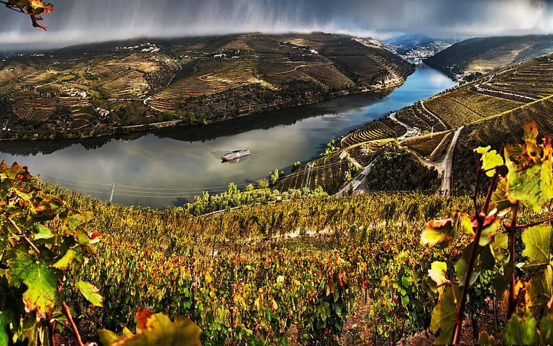 Valenca Do Douro, summer, sunset, vineyards, river, Europe, Portugal, HD wallpaper