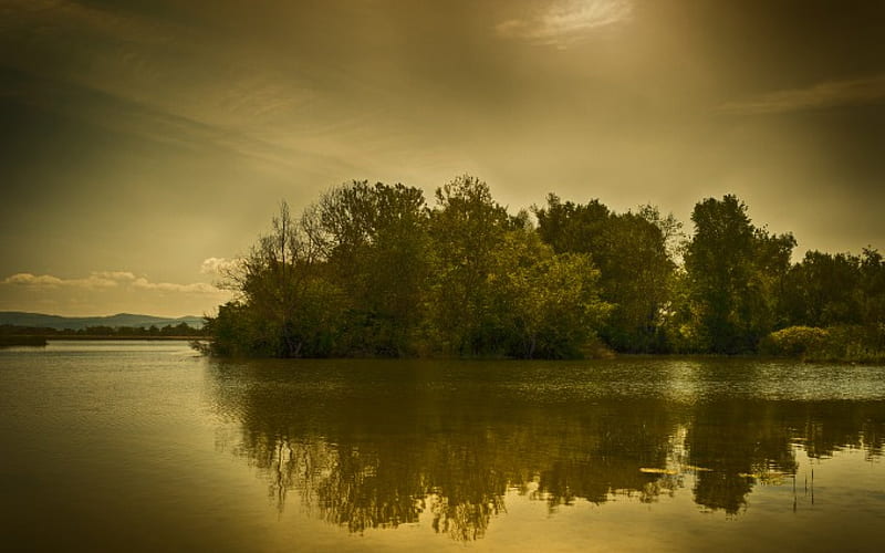 wonderful lake in monochrome, sunbeams, reflection, trees, lake, HD wallpaper