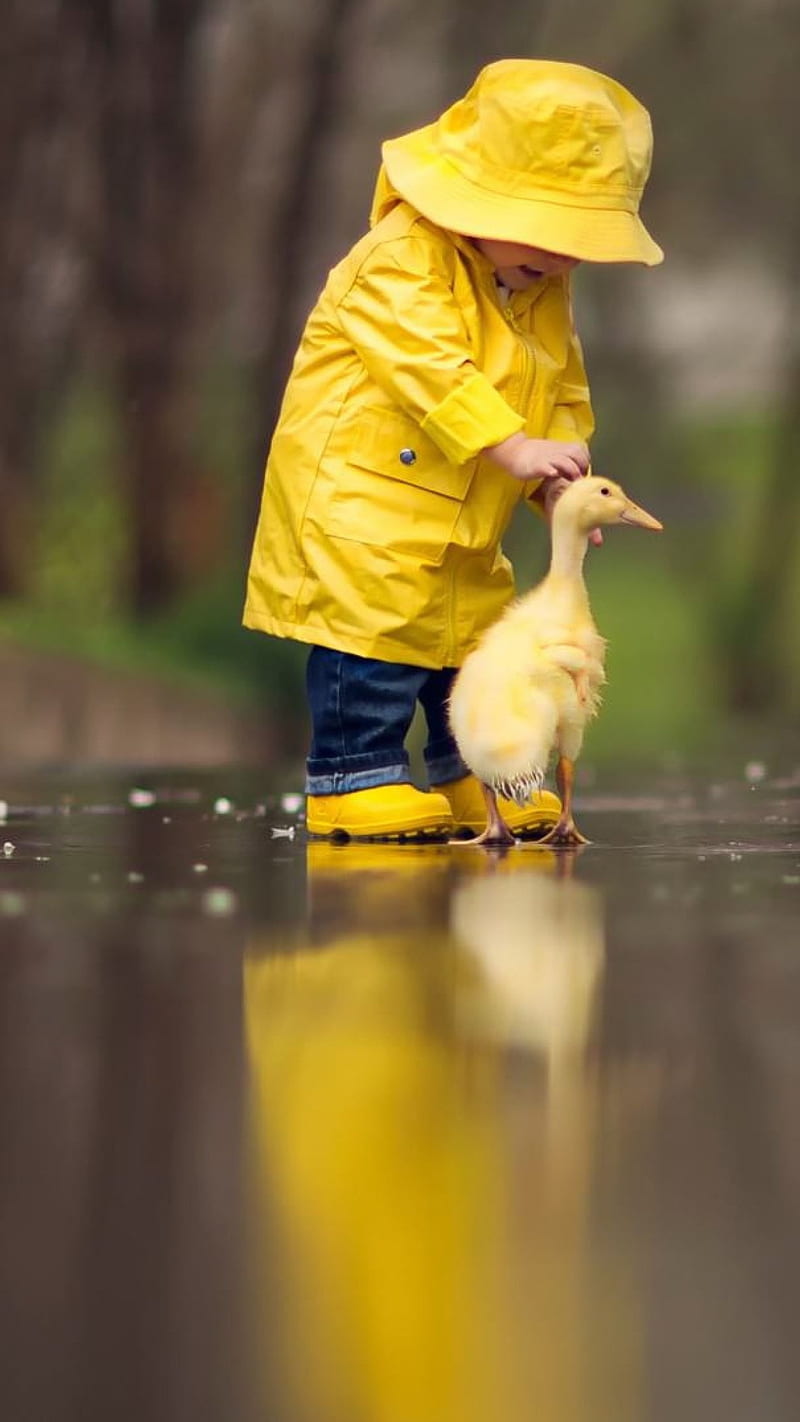 Little Boy Playing with Duck , cute, child, adorable, HD phone wallpaper