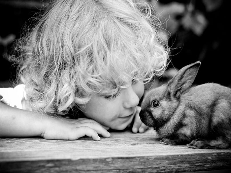 To Be A Child, boy, love, bunny, child, sweet, HD wallpaper | Peakpx