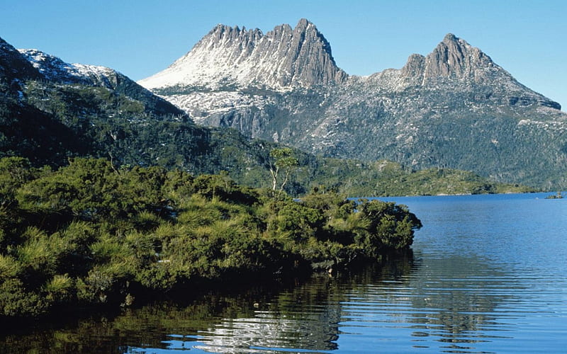 dove lake tasmania, tree, mountian, tasmania, dove, lake, HD wallpaper