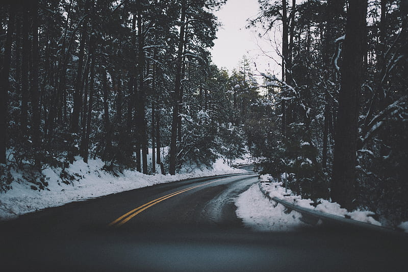 road, turn, trees, snow, asphalt, HD wallpaper