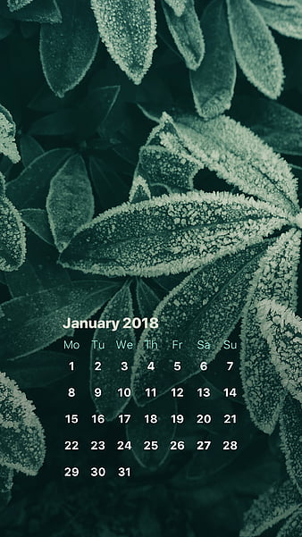Pink Clouds, january, jan, calendars, winter, HD phone wallpaper | Peakpx