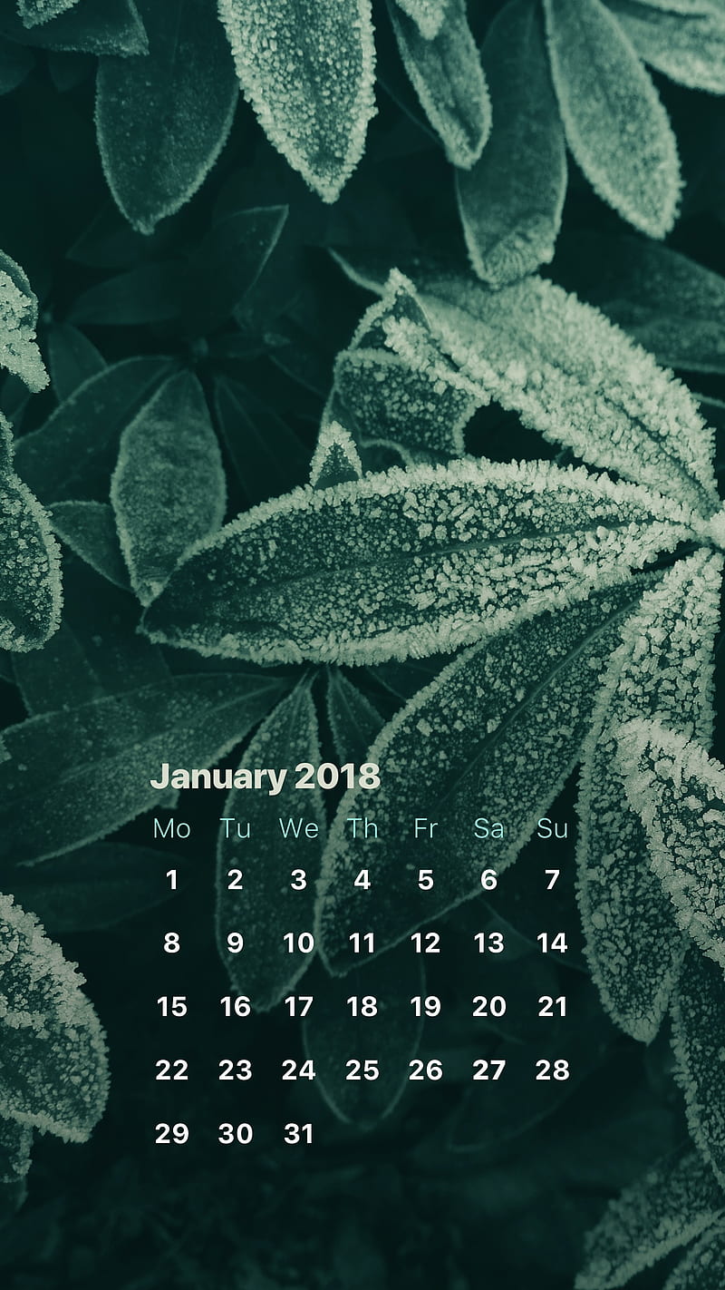Frozen Leaves, january, jan, calendars, winter, HD phone wallpaper