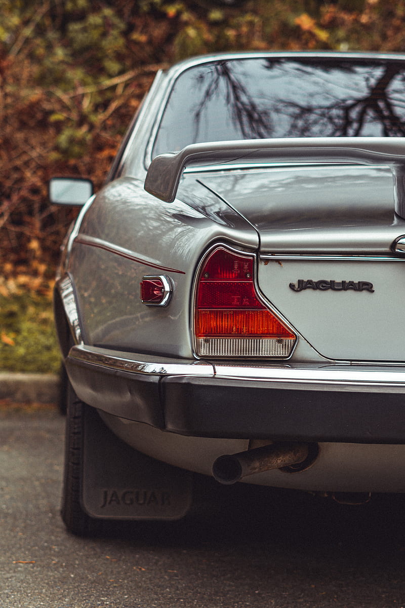 jaguar, car, rear view, retro, vintage, HD phone wallpaper