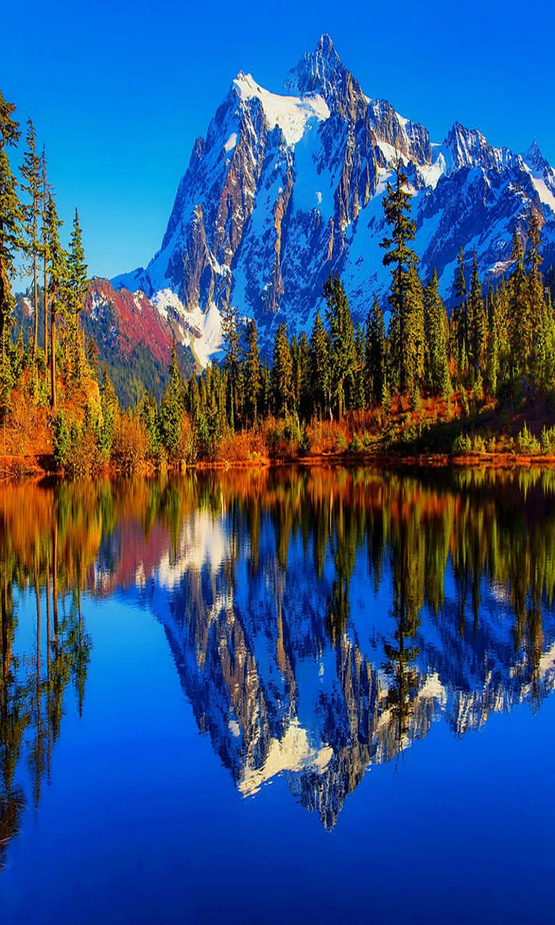 Reflections nature, look, nice, HD phone wallpaper