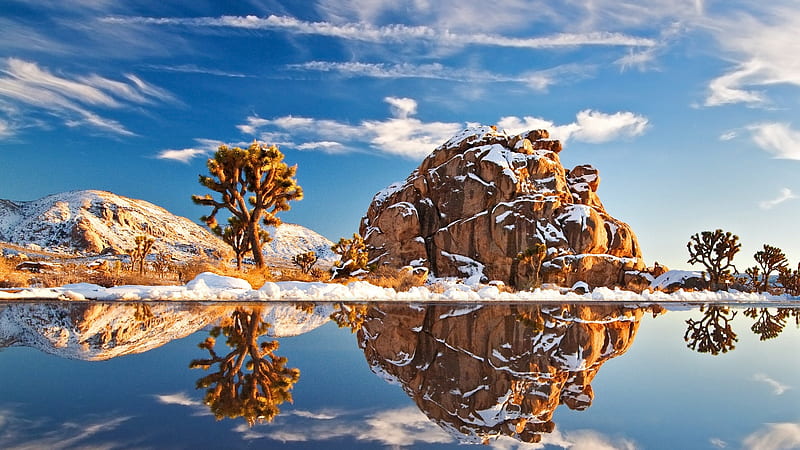 Joshua Tree National Park in Winter, Trees, Mountains, Lakes, Snow, National Parks, Reflections, Nature, Winter, HD wallpaper