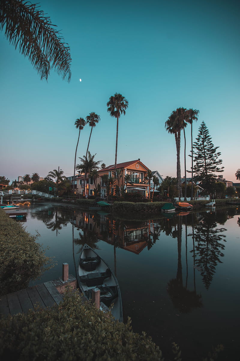 in distant brown 2-storey house surrounded by palm trees near body of water, HD phone wallpaper