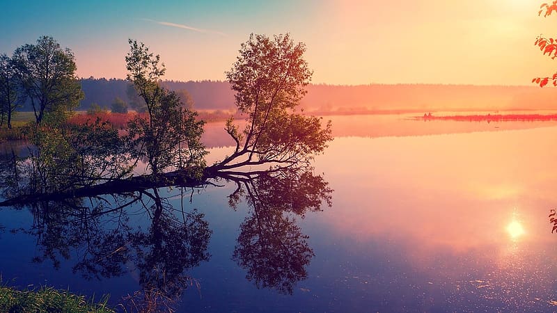 Sunrise, dawn, nature, tree, lake, HD wallpaper | Peakpx