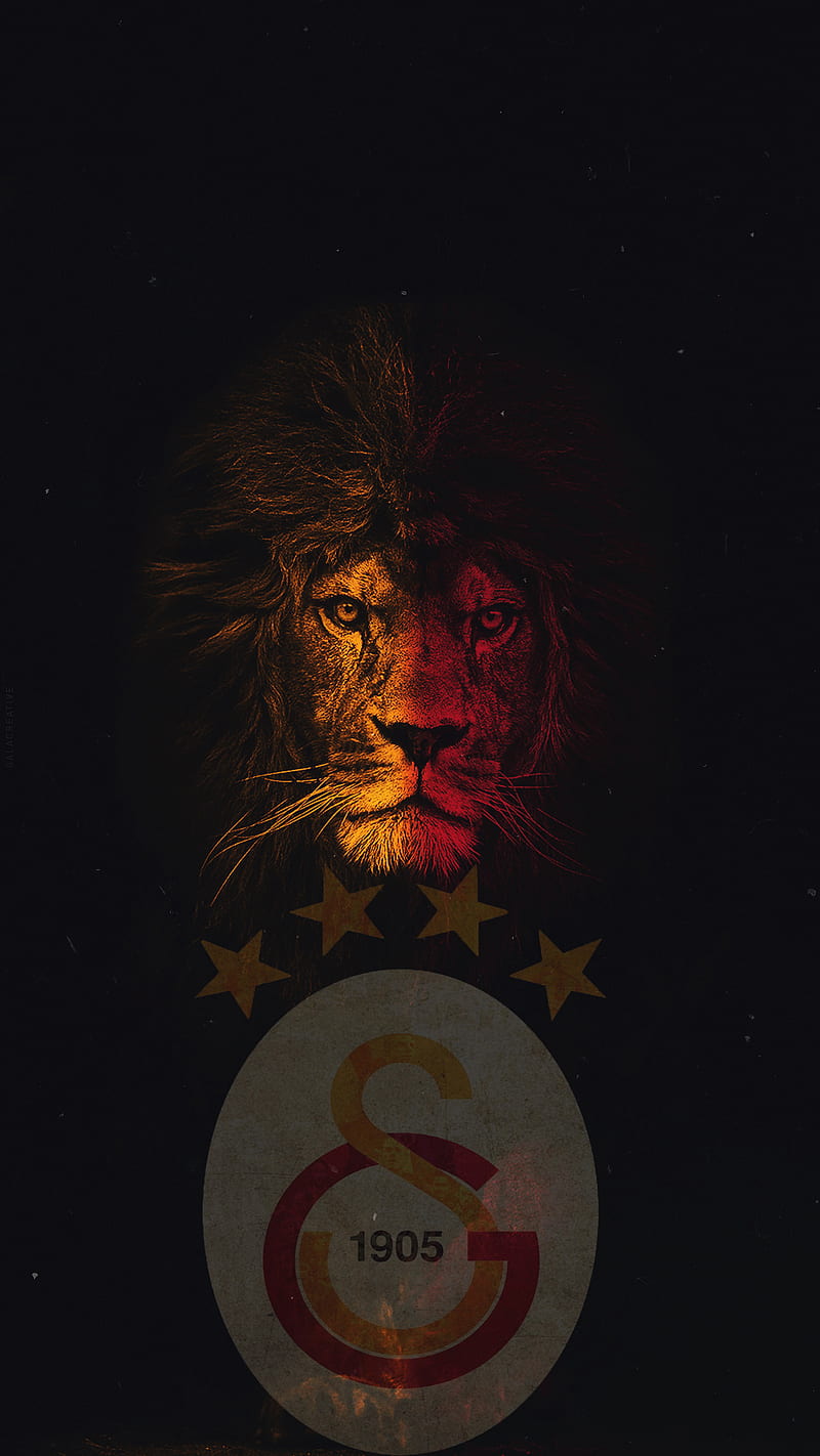Galatasaray, aslan, football, football, lion, team, HD phone wallpaper