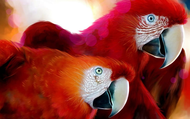 A Pair Of Parrots, red, art, exotic, colorful african, birds, parrots,  tropical, HD wallpaper | Peakpx