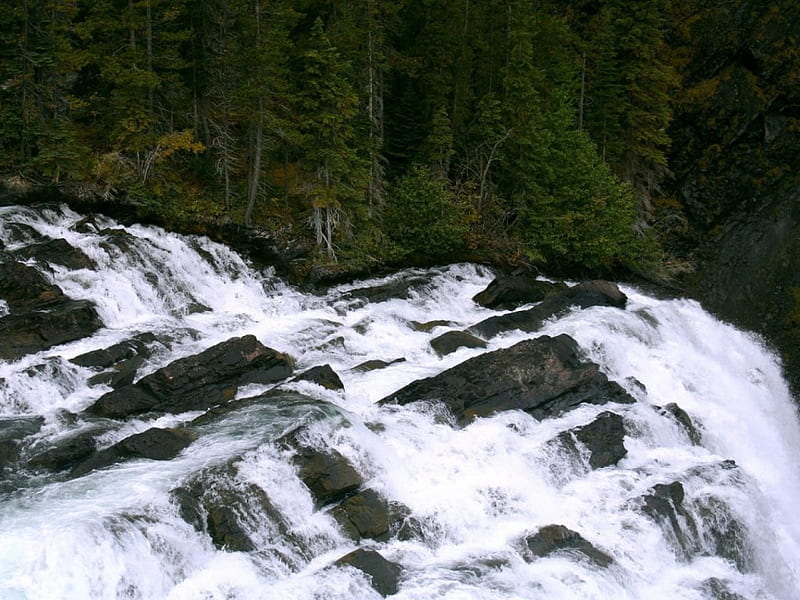 Torrent Falls, rocks, forest, waterfalls, HD wallpaper