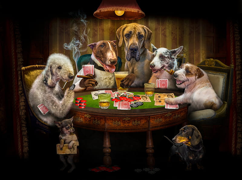 While the owners are not home, poker, dog, fantasy, caine, funny, playing cards, creative, HD wallpaper