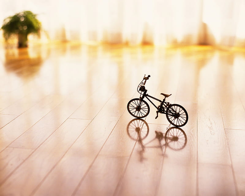 Interior Lifestyle, architecture, pretty, decking, thumbnail, background, trimming, interior, bikes, caparison, modern, nice bright, boards, ambient, wood, adornment, life, floor, brightness, houses, curtains, decoration, set, ambience, cool, awesome, wire, hop, fullscreen, dressing, ornamentation, style, taboo, cloths, bonito, bauble, metal, graphy, plaything, offset, garnish, miniatures, anklet, lifestyle, toys amazing, garniture, tacos, line, finery, trappings, decor, embellishment, embroidery, gilding, metalic, day ornament, HD wallpaper