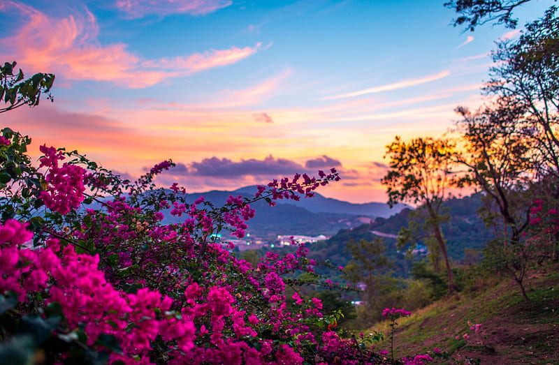 Beautiful Mountain Landscape, sunsets, mountains, landscapes, flowers ...