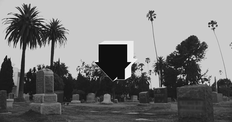Nb, jesse rutherford, rip my youth, the neighbourhood, wiped out, HD wallpaper