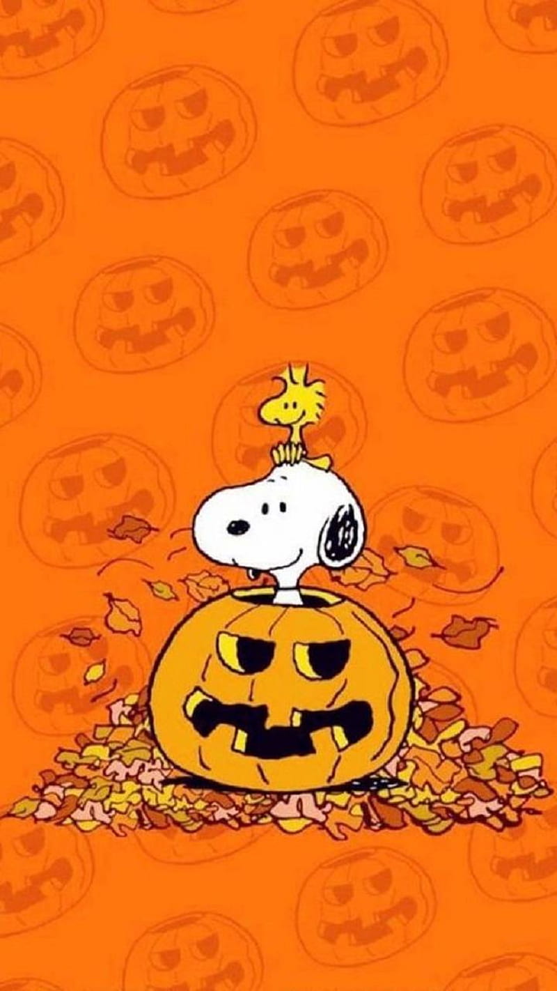 Halloween Snoopy, cartoon, themes, witch, cute, peanuts, bird, cat, hello, lucky, HD phone wallpaper