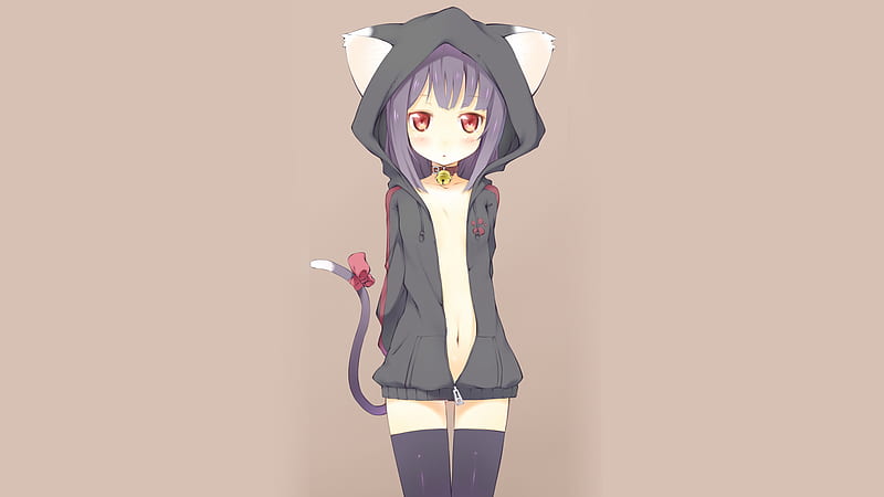 Cute catgirl, catgirl, animal ears, neko, tail, purple hair, bonito, thigh highs, sexy, cute, hot, beauty, anime girl, red eyes, HD wallpaper
