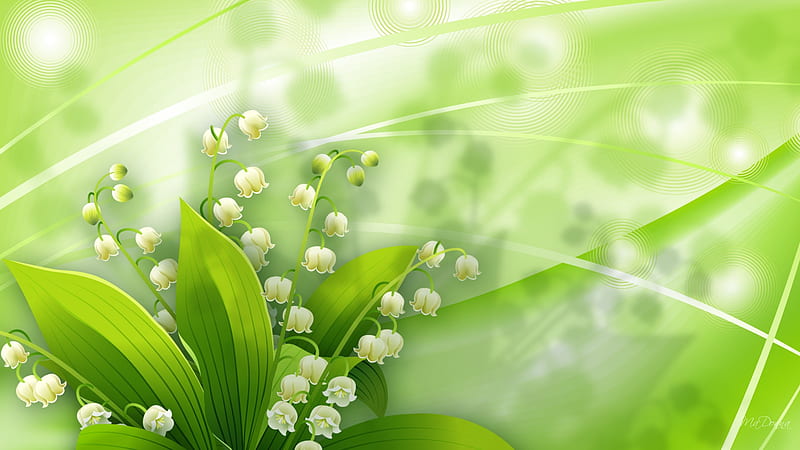 Lilies of the Green Valley, lilies of the valley, green, summer, flowers, lily, firefox persona, spring, floral, HD wallpaper
